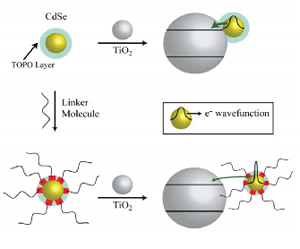 Quantum Dot Surface Chemistry